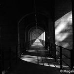 001_magali_frank_fleurange_deuil