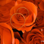 001_magali_frank_fleurange_fetes