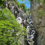 001_magali_frank_fleurange_nature