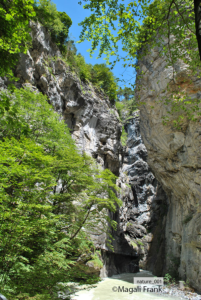 001_magali_frank_fleurange_nature