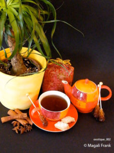 002_magali_frank_fleurange_exotique