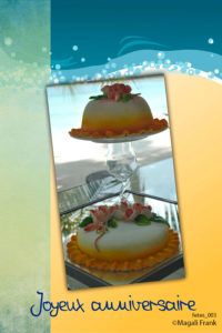 003_magali_frank_fleurange_fetes