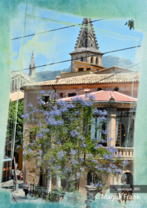 005_magali_frank_fleurange_exotique