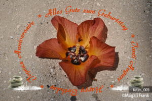 005_magali_frank_fleurange_fetes