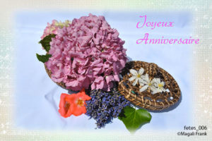 006_magali_frank_fleurange_fetes