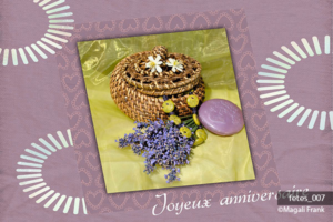 007_magali_frank_fleurange_fetes