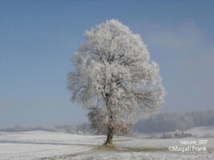 007_magali_frank_fleurange_nature