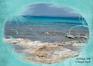 008_magali_frank_fleurange_exotique