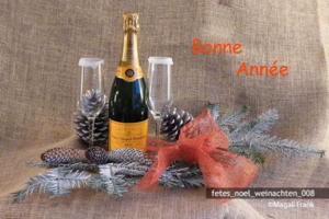 008_magali_frank_fleurange_fetes_noel