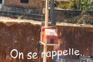 009_magali_frank_fleurange_exotique