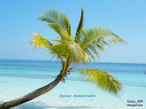 009_magali_frank_fleurange_fetes