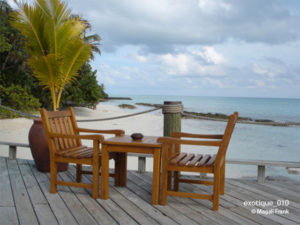 010_magali_frank_fleurange_exotique