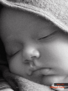 011_magali_frank_fleurange_fetes