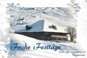 011_magali_frank_fleurange_fetes_noel