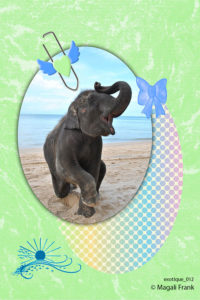 012_magali_frank_fleurange_exotique