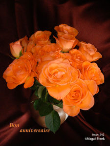 012_magali_frank_fleurange_fetes