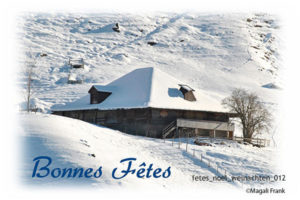 012_magali_frank_fleurange_fetes_noel