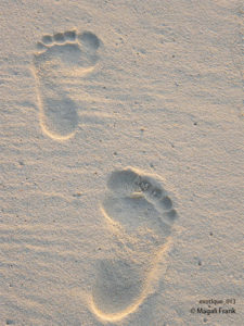 013_magali_frank_fleurange_exotique