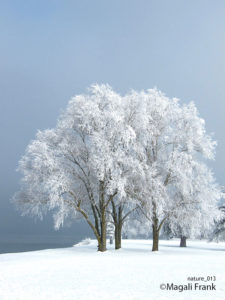 013_magali_frank_fleurange_nature