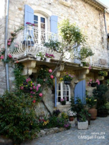 014_magali_frank_fleurange_nature