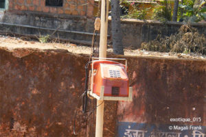 015_magali_frank_fleurange_exotique