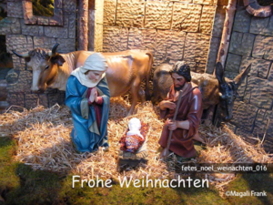 016_magali_frank_fleurange_fetes_noel