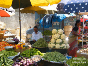 017_magali_frank_fleurange_exotique