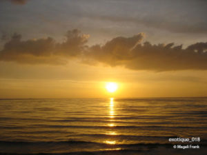 018_magali_frank_fleurange_exotique