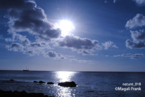 018_magali_frank_fleurange_nature