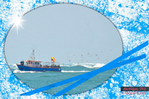 019_magali_frank_fleurange_exotique