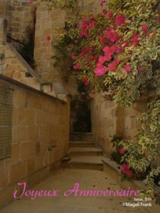 019_magali_frank_fleurange_fetes