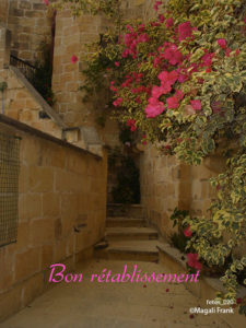 020_magali_frank_fleurange_fetes