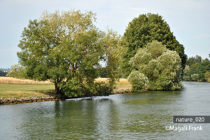 020_magali_frank_fleurange_nature