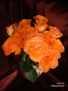 021_magali_frank_fleurange_fetes