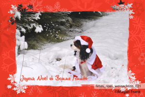 021_magali_frank_fleurange_fetes_noel