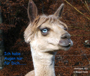 022_magali_frank_fleurange_exotique