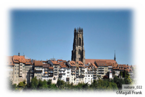 022_magali_frank_fleurange_nature