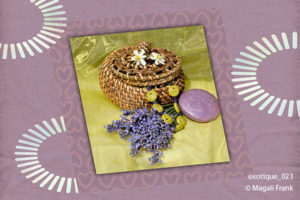 023_magali_frank_fleurange_exotique