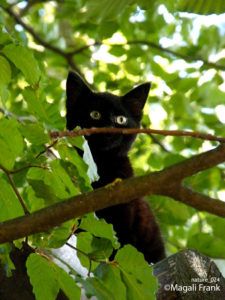 024_magali_frank_fleurange_nature