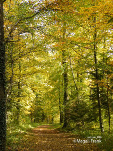 026_magali_frank_fleurange_nature