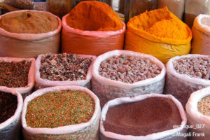 027_magali_frank_fleurange_exotique