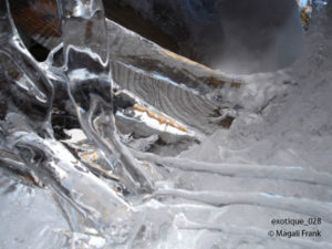 028_magali_frank_fleurange_exotique