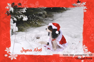 028_magali_frank_fleurange_fetes_noel