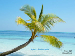 029_magali_frank_fleurange_fetes