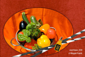 030_magali_frank_fleurange_exotique