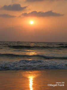 030_magali_frank_fleurange_nature