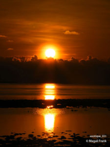 031_magali_frank_fleurange_exotique