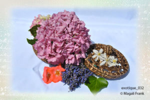 032_magali_frank_fleurange_exotique