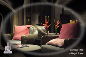 033_magali_frank_fleurange_exotique