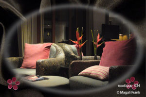 034_magali_frank_fleurange_exotique